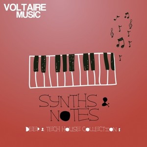 Synths and Notes 8.0