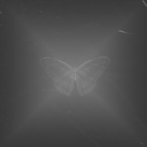 Beni Kurtar (Explicit)