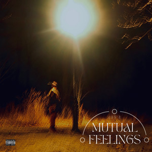 Mutual Feelings (Explicit)