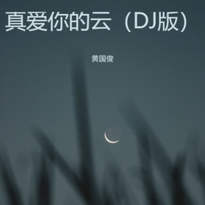真爱你的云（DJ版）