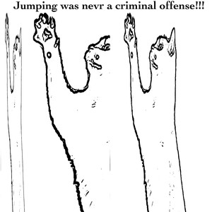 Jumping Was Nevr a Criminal Offense!!!