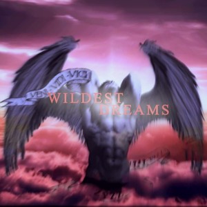 Wildest Dreams (Let It Go)