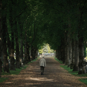 Jeg kjenner de døde(fra 