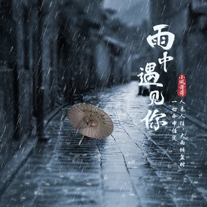 雨中遇见你
