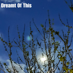 DREAMT OF THIS (Explicit)