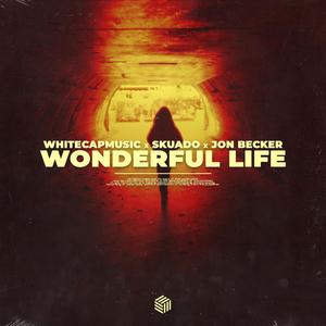 Wonderful Life