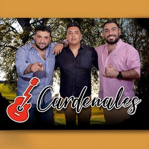 Que Lluevan Las Coplas