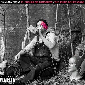 If I Should Die Tomorrow/The Sound Of Her Wings (Explicit)