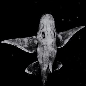 Sonarpuls (Swimful Remix)