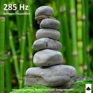 285 Hz Quantum Cognition