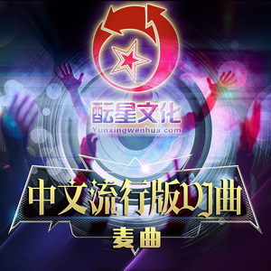 酝星中文流行版DJ曲2 (DJ版)