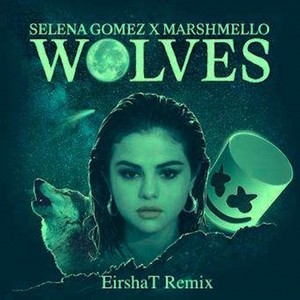 Wolves(EirshaT Remix)