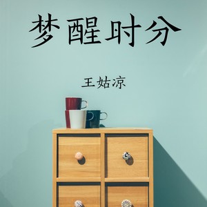 梦醒时分 (DJ版)