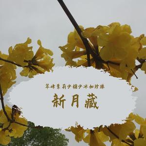 “要走的风 也抱不住要走的你”封面