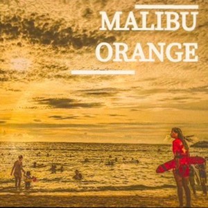 MALIBU ORANGE feat. JOSHIA