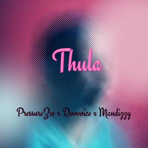 Thula Ntombi (feat. Doovoice & Mandizzy)