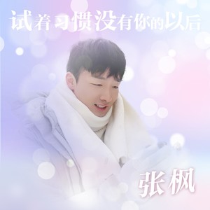 我试着习惯没有你的以后 (DJ版伴奏)