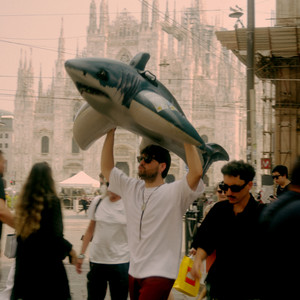 Squali (tutti al mare)