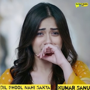 Dil Bhool Nahi Sakta (From 
