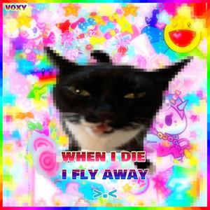 when i die i fly away (Explicit)