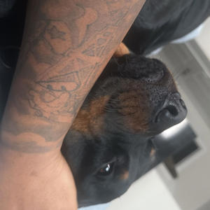 Përsonality (Explicit)