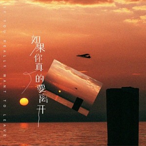 如果你真的要离开