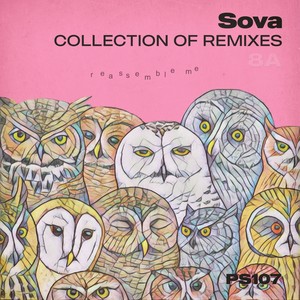 Sova (Paul Leone Remix)