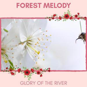 Forest Melody - Glory of The River