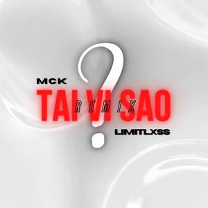 TẠI VÌ SAO (Remix)