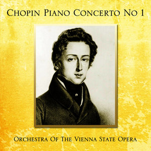 Piano Concerto No. 1 in E Minor, Op. 11: I. Allegro maestoso (E小调第1号钢琴协奏曲，作品11：第一乐章 庄严的快板)