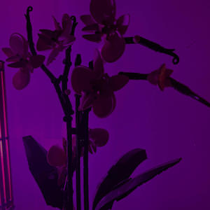 hayatima girmeni istedim (Explicit)