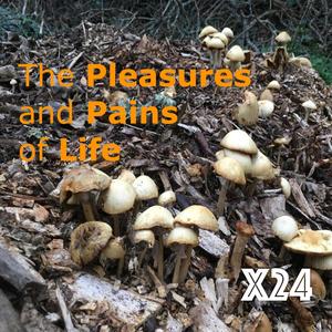 The Pleasures & Pains of life