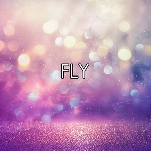 Fly