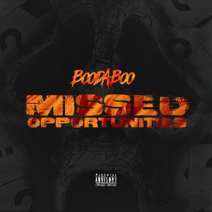 Missed Opportunities (Explicit)