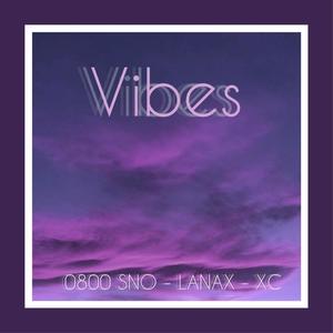 Vibes (feat. 0800 SNO & XC) [Explicit]