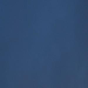 trust love (Explicit)