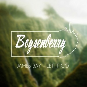 Let It Go (Boysenberry Edit)