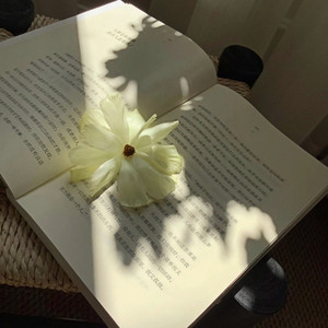 晚风的手稿 (古筝曲)