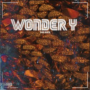 Wonder Y (Explicit)