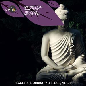 Enhance Self Awareness Through Meditation - Peaceful Morning Ambience, Vol. 9