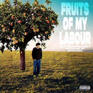 Fruits Of My Labour (Explicit)