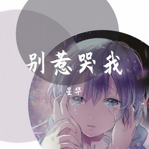 别惹哭我封面