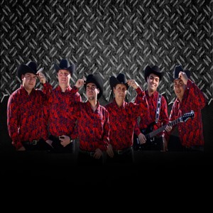 Ya no me gusta peludo