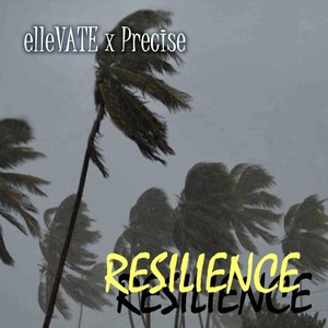 Resilience