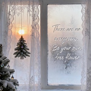 Santa Tell Me-Echo Lab