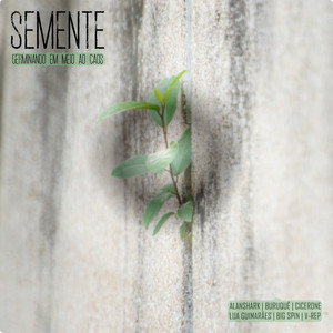 Semente - Germinando em meio ao caos