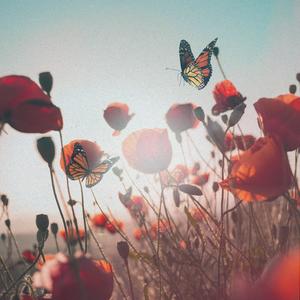 Unlike Pluto - Rewind