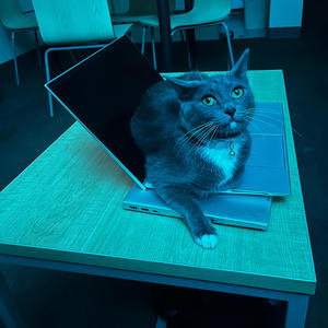 Add it Up (feat. Ferrero) (Explicit)