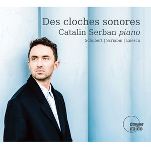 Piano Sonata No. 18 in G Major, Op. 78, D. 894 - IV. Allegretto (第四乐章 小快板)