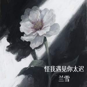 怪我遇见你太迟
